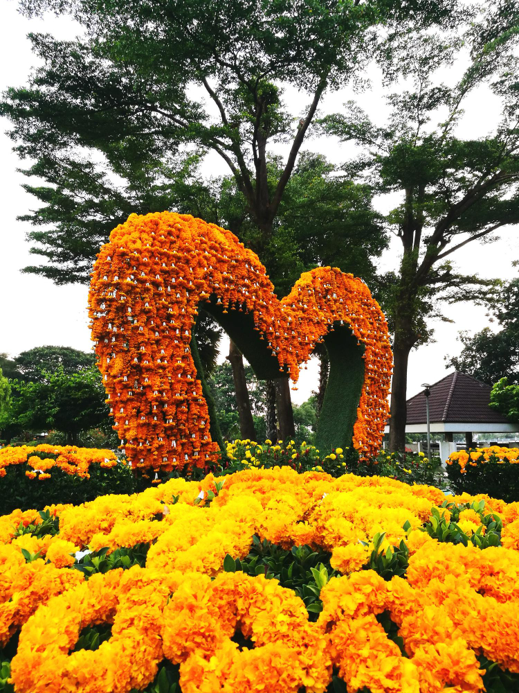 F & T India 2026 (Food and Technology Show) 